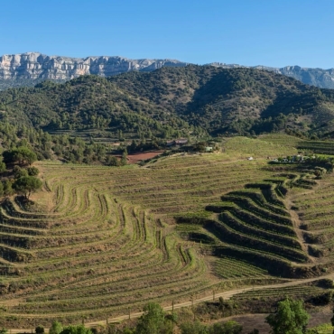 D.O.Q Priorat